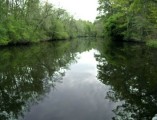 Thumbs/tn_AbitaRiver.jpg
