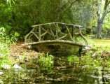 Thumbs/tn_Bridge.jpg