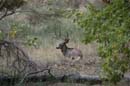DSC_5540